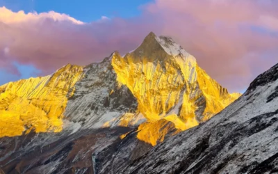 What Is the Difference Between Annapurna and Manaslu Circuit? Honest 2026