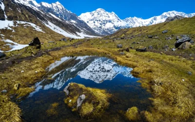 Food and Water Safety on the Annapurna Trek: Complete Guide for Trekkers